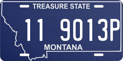 MT license plate 119013P