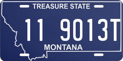 MT license plate 119013T