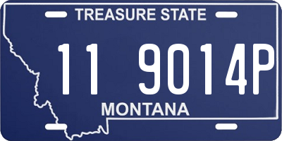 MT license plate 119014P