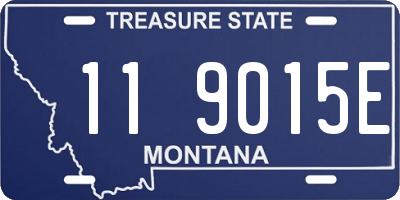 MT license plate 119015E