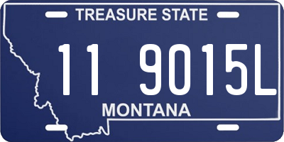 MT license plate 119015L