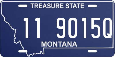 MT license plate 119015Q