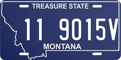 MT license plate 119015V