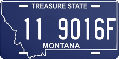 MT license plate 119016F