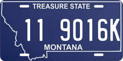 MT license plate 119016K