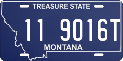 MT license plate 119016T