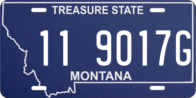 MT license plate 119017G