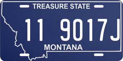 MT license plate 119017J