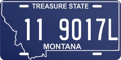 MT license plate 119017L