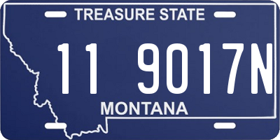 MT license plate 119017N