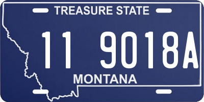 MT license plate 119018A