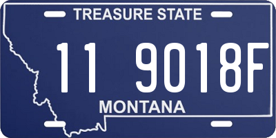 MT license plate 119018F
