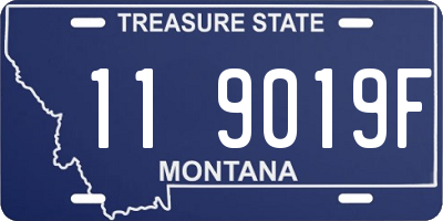 MT license plate 119019F
