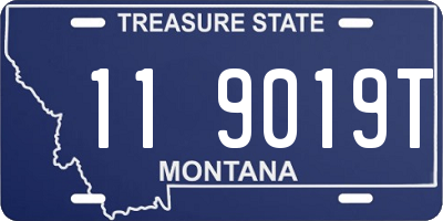 MT license plate 119019T