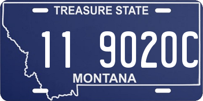MT license plate 119020C