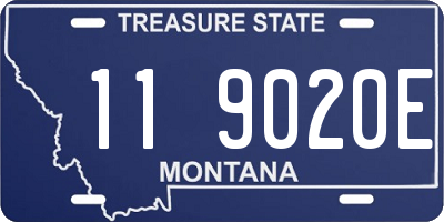 MT license plate 119020E