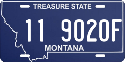 MT license plate 119020F