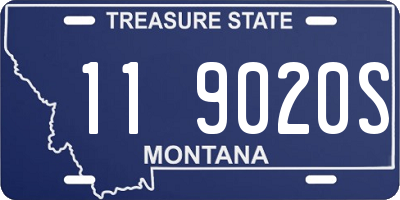 MT license plate 119020S