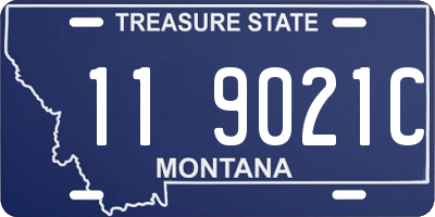 MT license plate 119021C