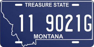 MT license plate 119021G
