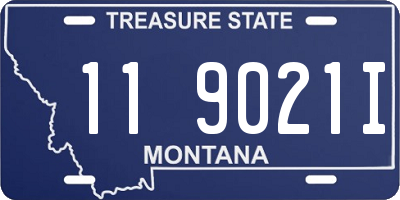 MT license plate 119021I