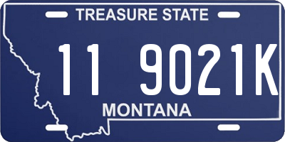 MT license plate 119021K