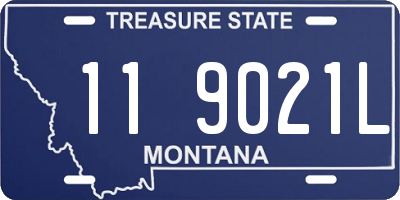 MT license plate 119021L
