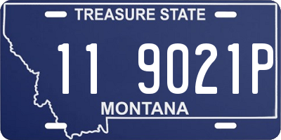 MT license plate 119021P