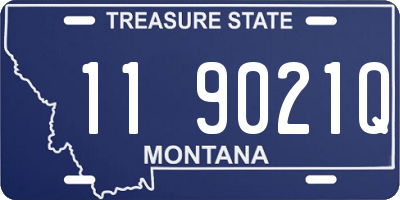 MT license plate 119021Q