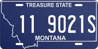 MT license plate 119021S