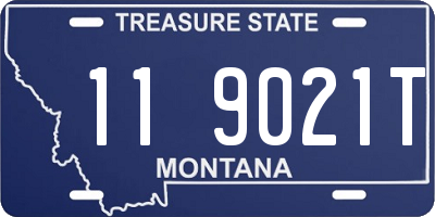 MT license plate 119021T