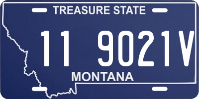MT license plate 119021V