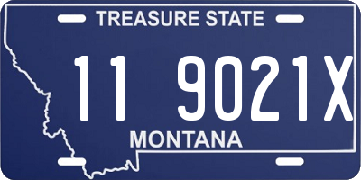 MT license plate 119021X