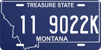 MT license plate 119022K