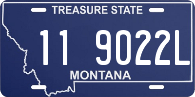 MT license plate 119022L