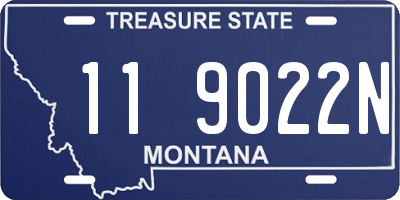 MT license plate 119022N
