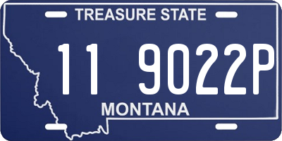 MT license plate 119022P