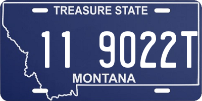 MT license plate 119022T