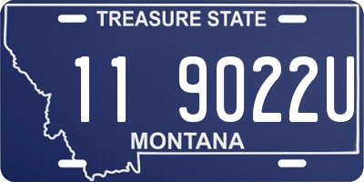 MT license plate 119022U
