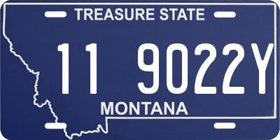 MT license plate 119022Y