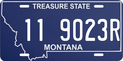 MT license plate 119023R