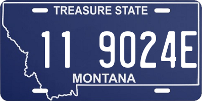 MT license plate 119024E