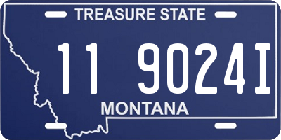 MT license plate 119024I