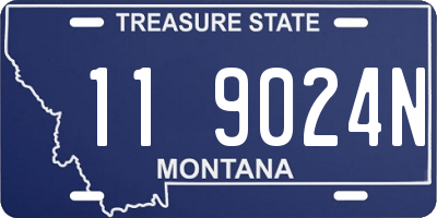 MT license plate 119024N
