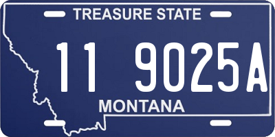 MT license plate 119025A