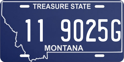 MT license plate 119025G