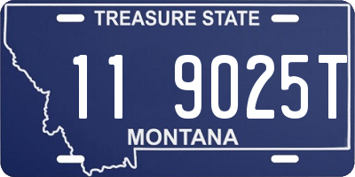 MT license plate 119025T