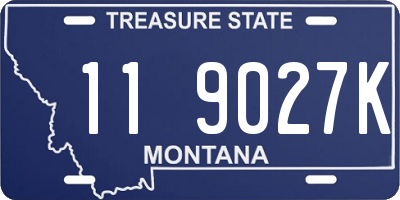 MT license plate 119027K