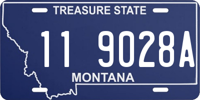 MT license plate 119028A