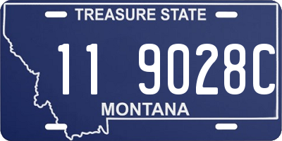 MT license plate 119028C